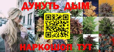 трава Краснодар